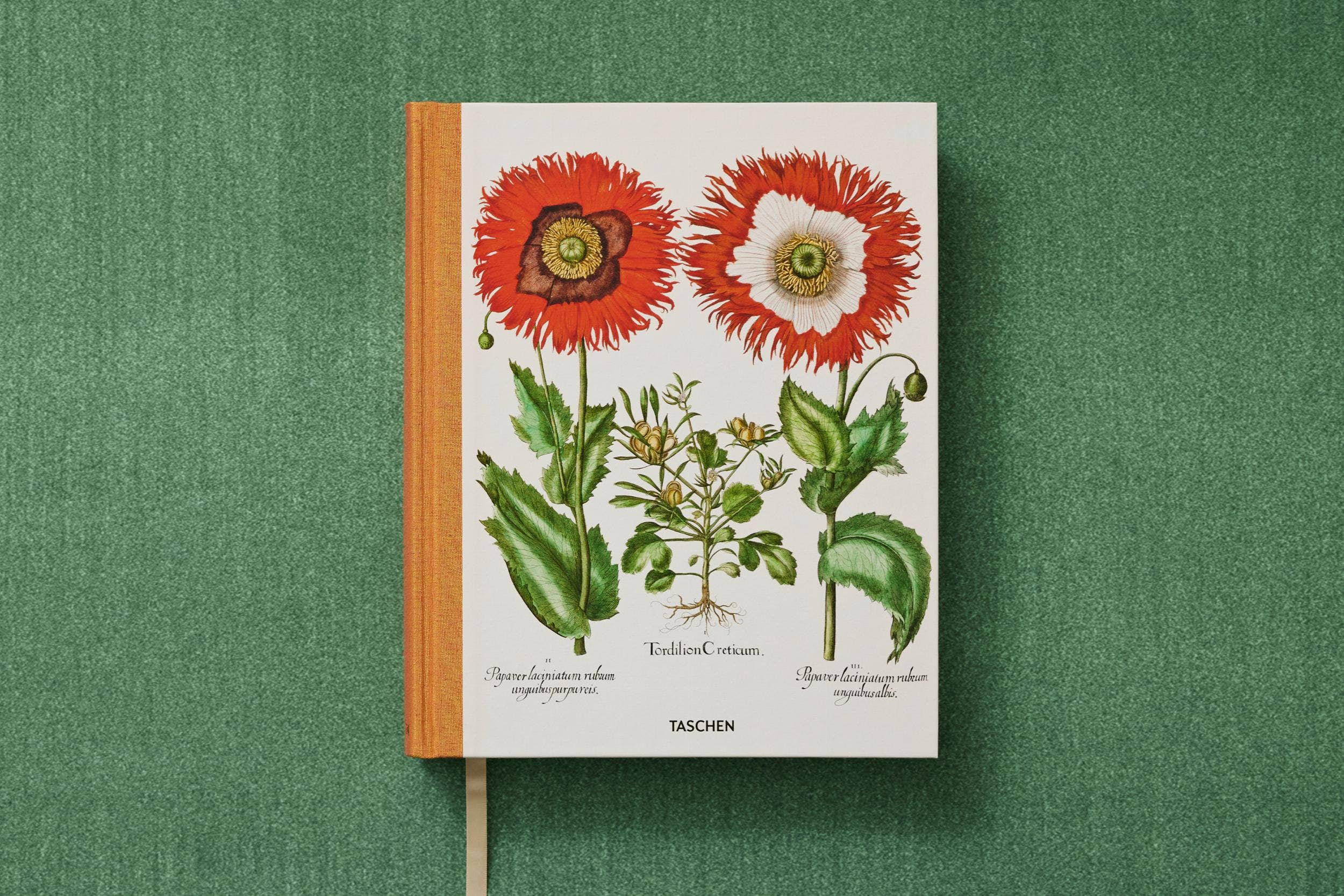 TASCHEN Europe – wholesale Nature & outdoors book – Basilius Besler. The Garden at Eichstätt (German, French, English)13