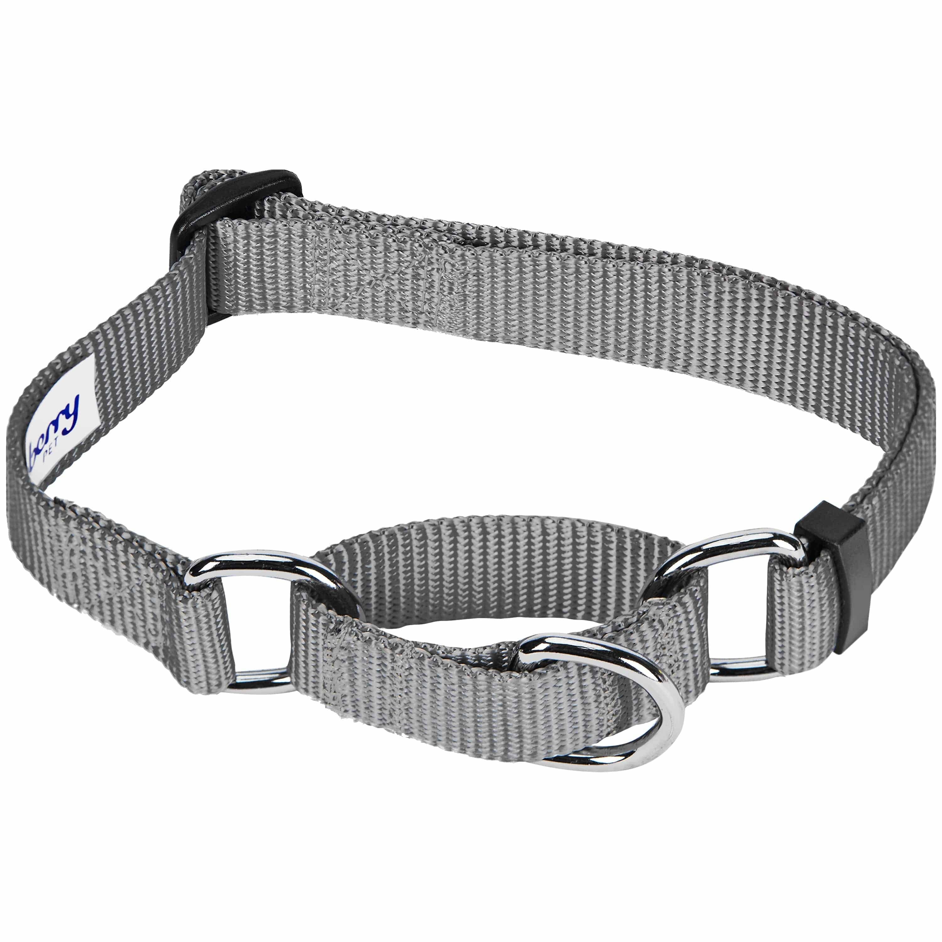 Blueberry Pet – Großhandel Haustierhalsband – Hund – 4 Farben, Klassisches Martingale-Hundehalsband6