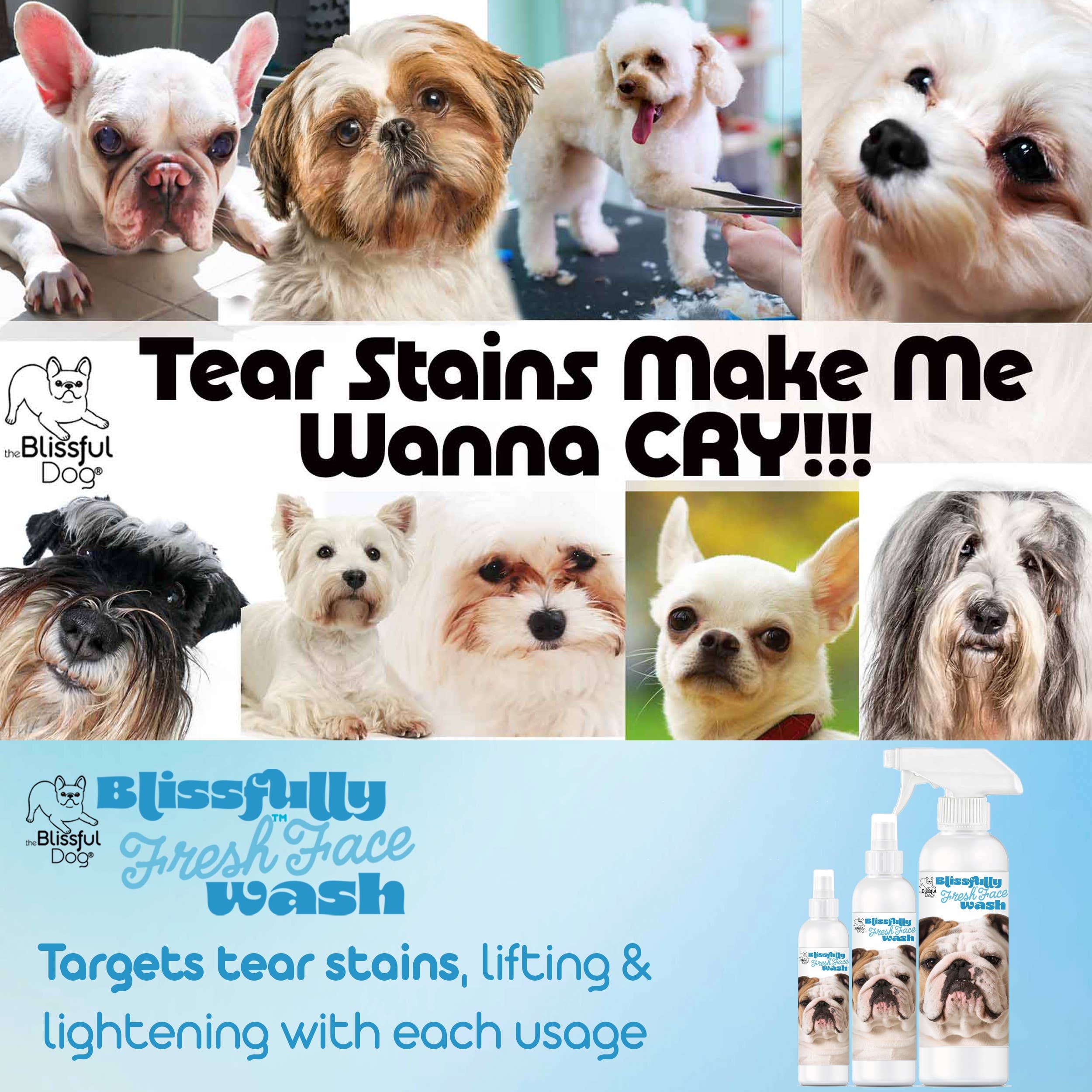 The Blissful Dog - Wholesale Pet Cleaning Supplies - Blissfully Fresh Face Wash I 1 Gallon5