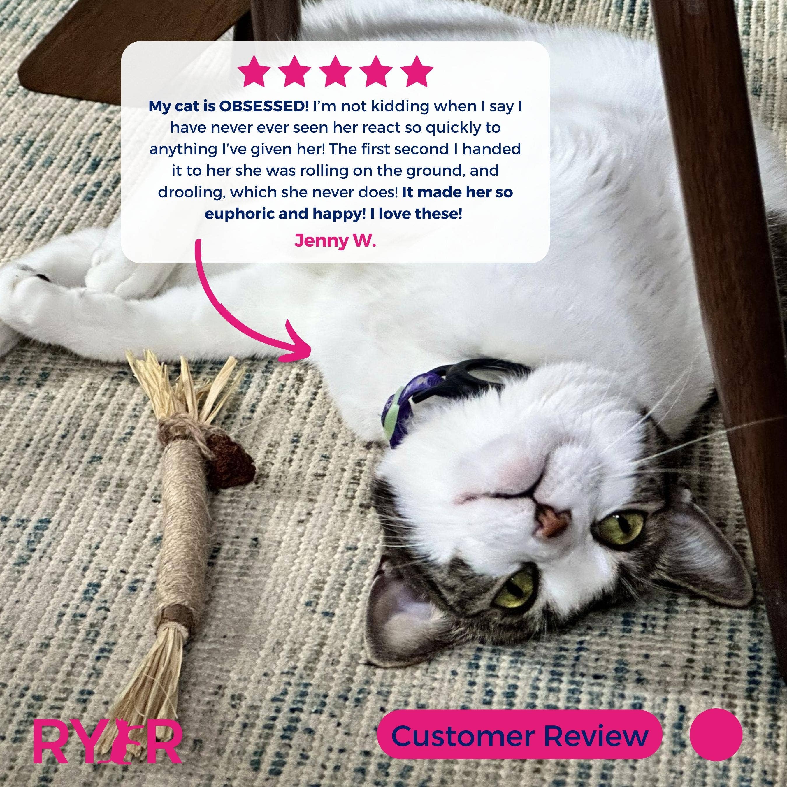 RYERCAT - Wholesale Pet Toy - Cat - Silvervine Cat Dental Sticks - Natural Dental Care (5 Pack)4