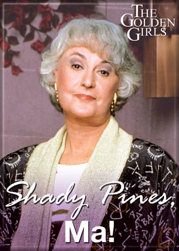 Ata-Boy The Golden Girls Stay Golden 2.5 x 3.5 Magnet for Refrigerators and Lockers 