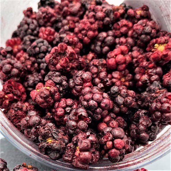 ZITROMAC Soluciones CÃtricas S.L. - Wholesale Dried/Dehydrated Fruit - BLACKBERRY - FREEZE DRIED - Small jar