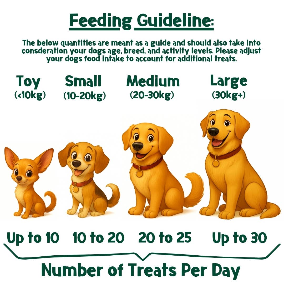 PARK LiFE - Wholesale Pet Biscuit - Dog - Cake-Bix Dog Biscuits Birthday Cake Flavour 100g8