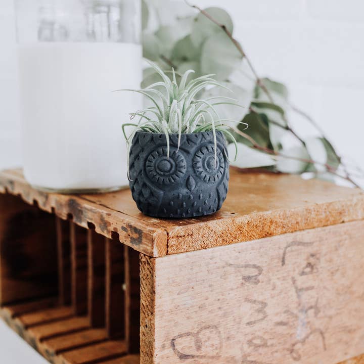 poured + crafted – wholesale Plant pot – Concrete Owl Planter5