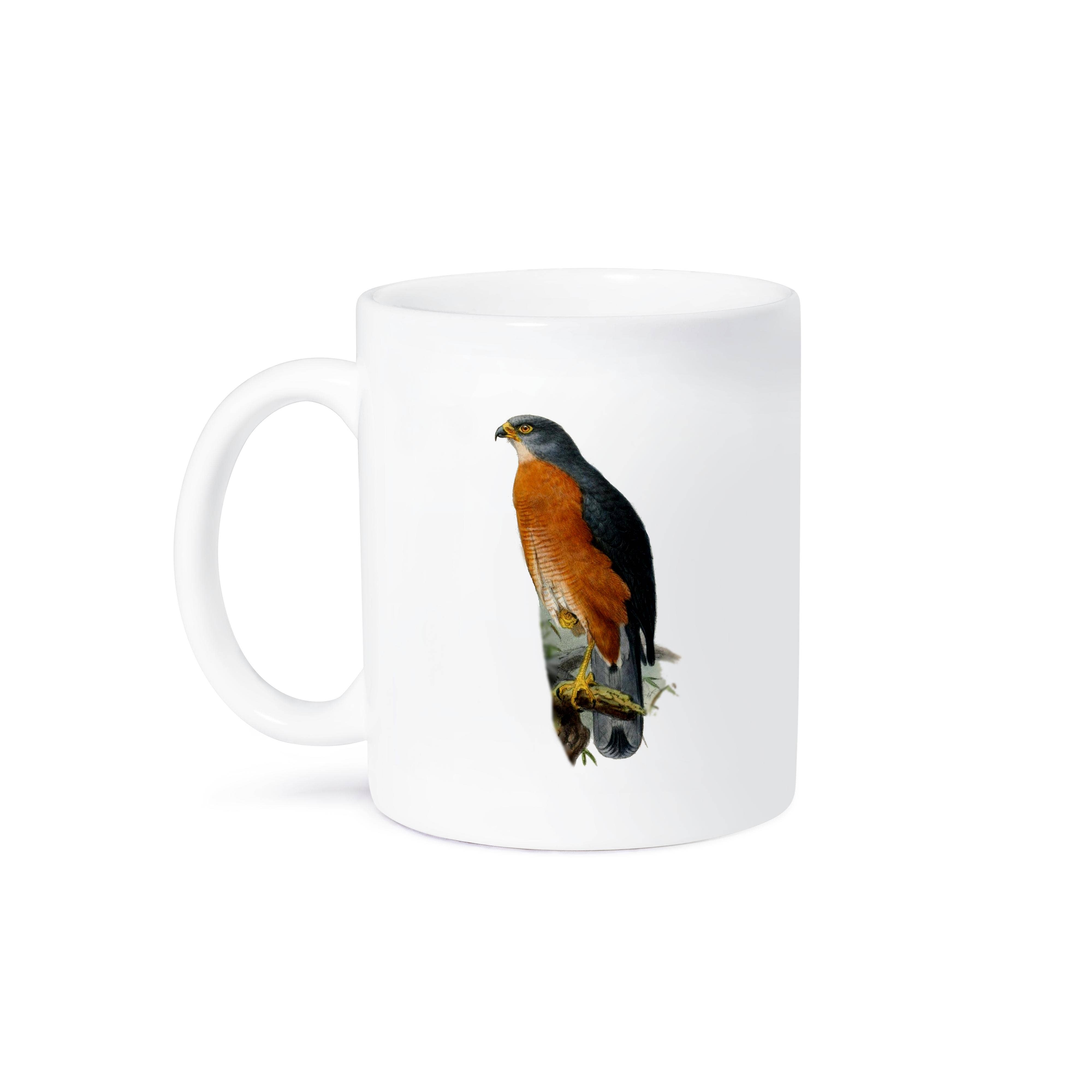 3dRose - Wholesale Coffee Mug - 3dRose, Majestic Red chested Goshawk Bird of Prey Vintage Art Hawk Hawks Birds, Mug8