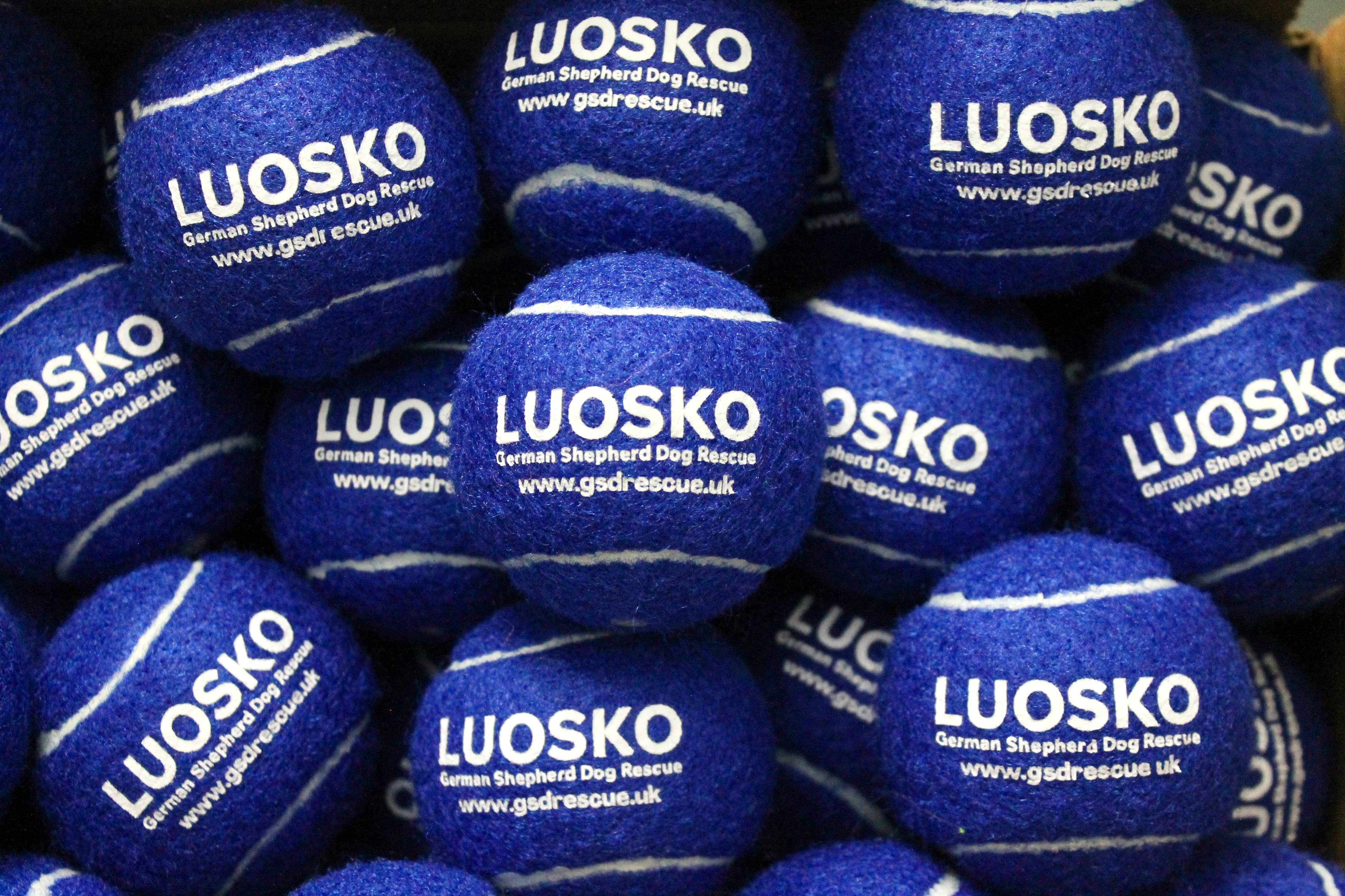 DANKA - Vendita all'ingrosso Palla sportiva - Palline da tennis personalizzate all'ingrosso, etichetta privata18