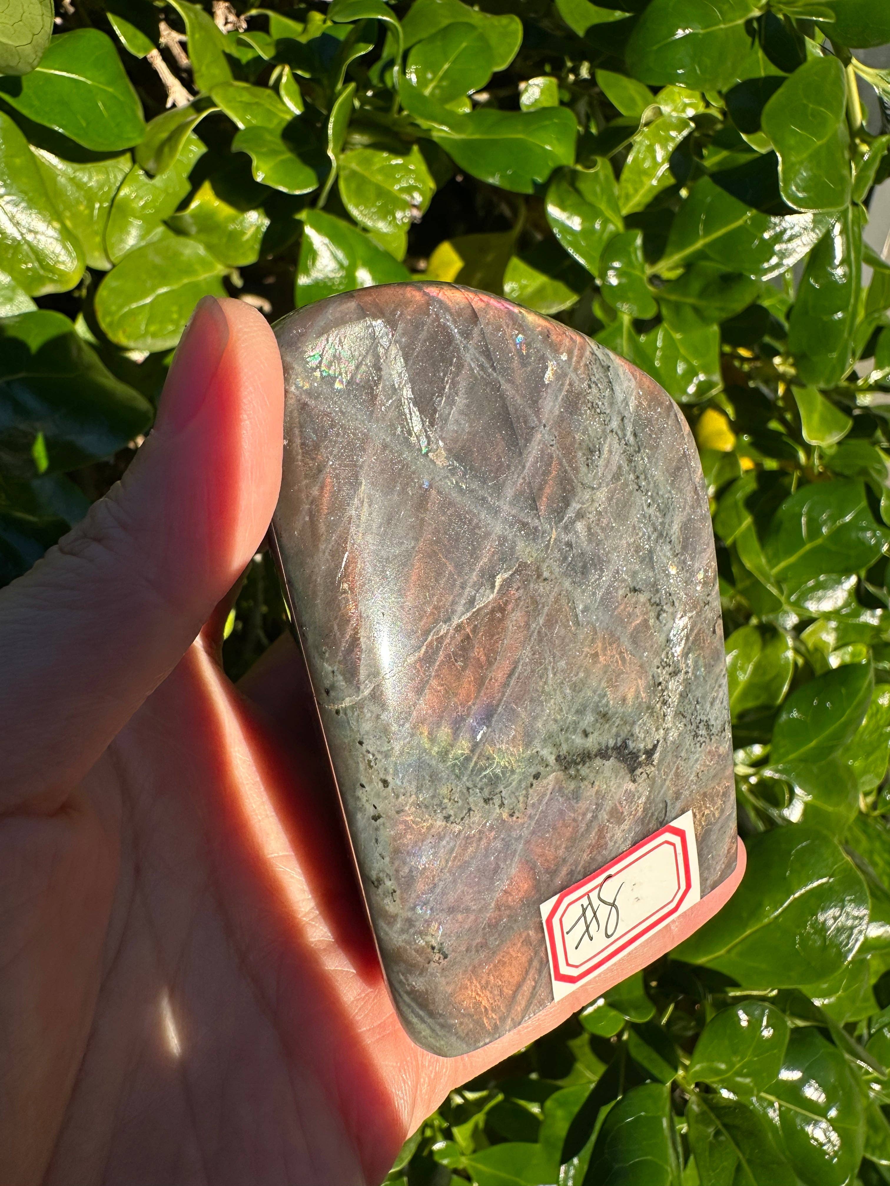 Moon Rituals – wholesale Spiritual stone/crystal – Large Purple Labradorite Free Form, Christmas Crystal Gift #83