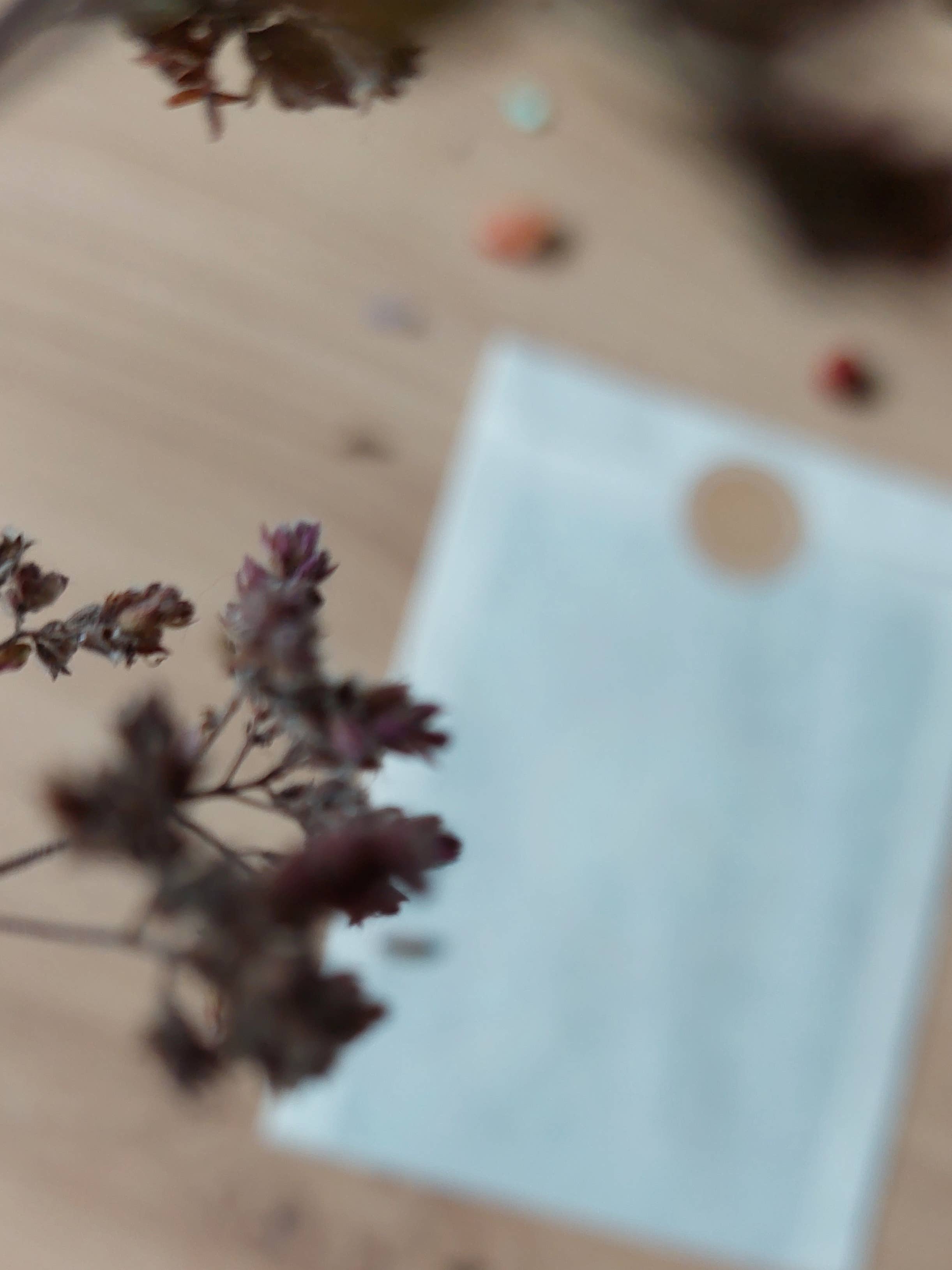 sieben lichter - Vendita all'ingrosso Cartoline - Cartolina artistica « Saggezza del gufo »4