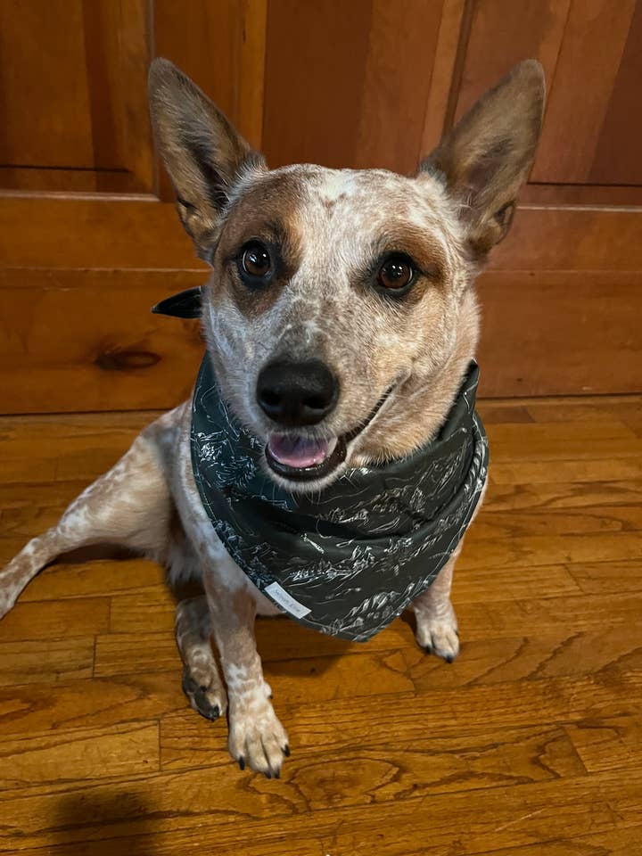 Lake Tahoe for wholesale by Woah Ellie