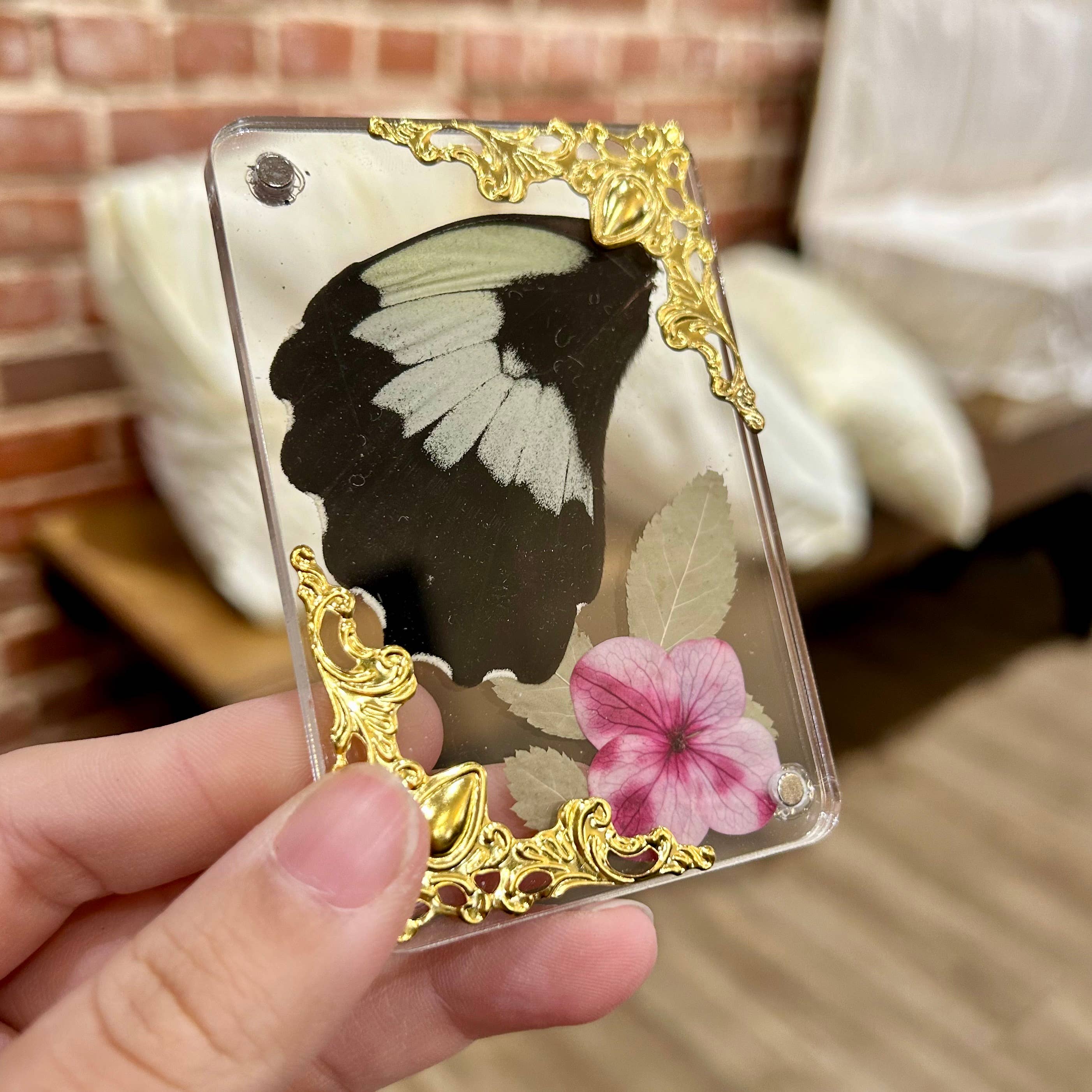 Mz. Jones’ Curio, Inc. - Wholesale Magnet - Butterfly Wing Magnets2