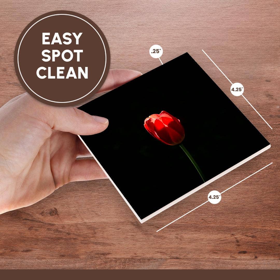 3dRose - Wholesale Coasters - 3dRose, Sunlit red tulip, black background. Minimalist composition, Coaster6