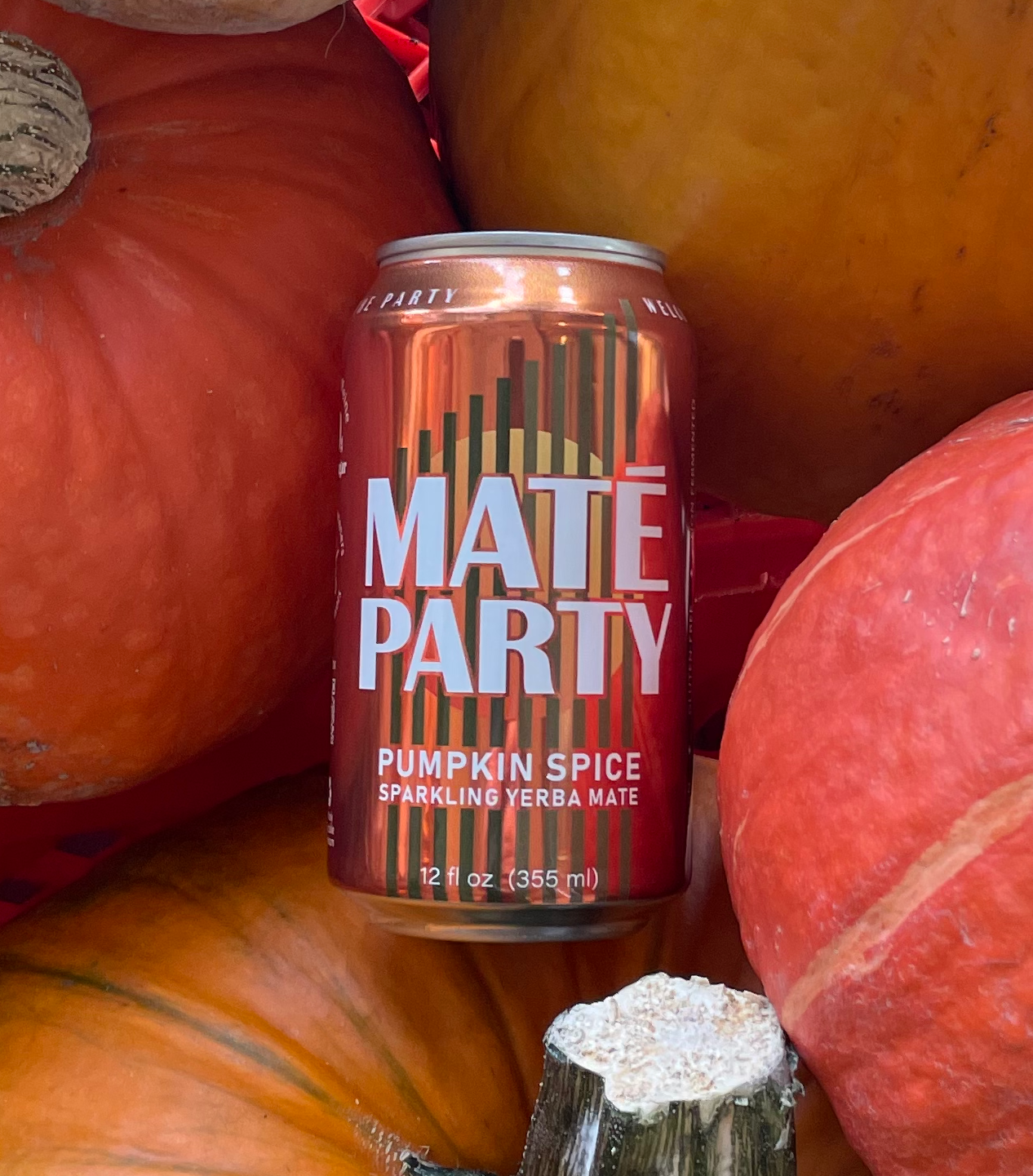 Maté Party - Wholesale Sports/Energy Drink - Winter Spice Maté - yerba mate1