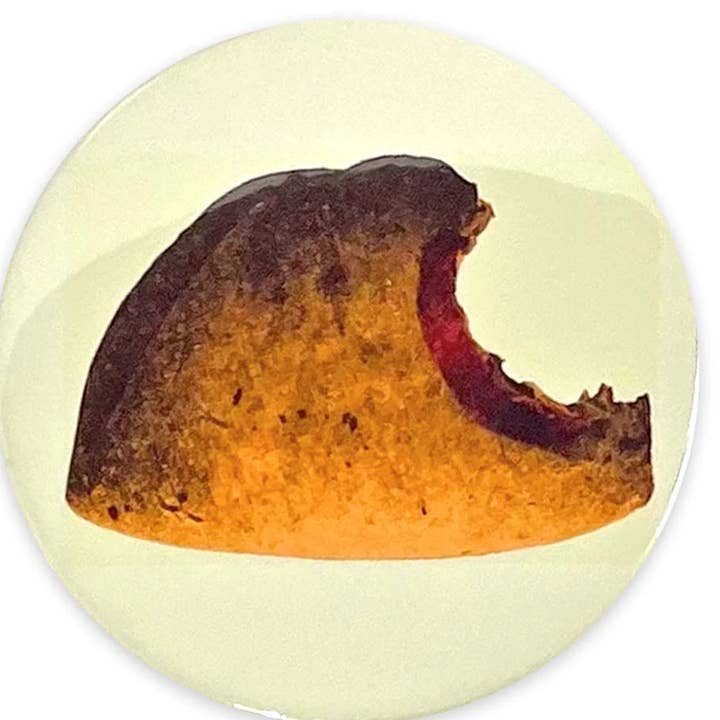 Empanada Pan Dulce 3" Magnet for wholesale by BarbacoApparel