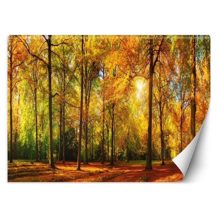 Muurschildering herfst bos voor wholesale door Motivartdesign