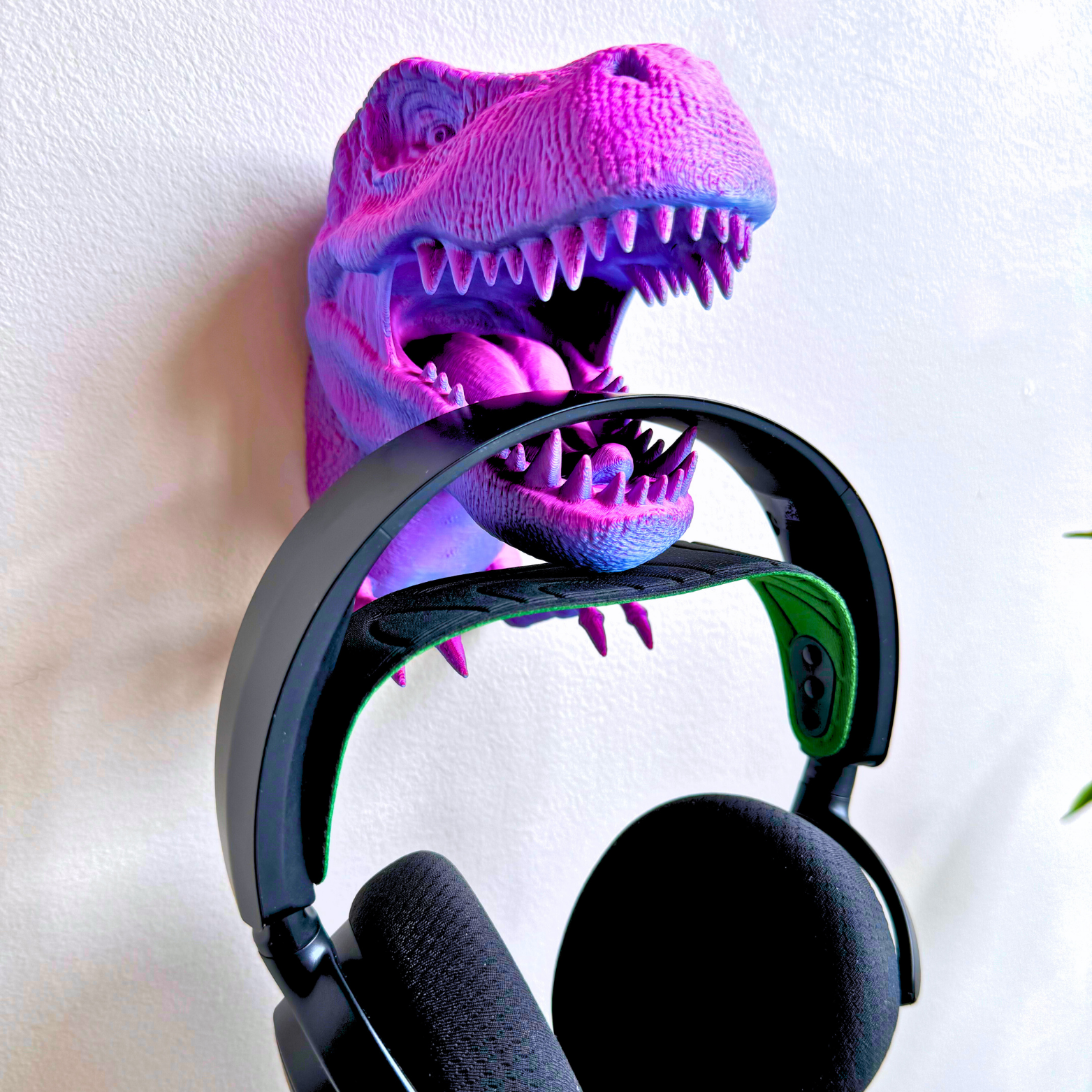 Dragon Fidgets – Großhandel Wanddeko - Kind & Baby – T-Rex Zubehörhalter zur Wandmontage11