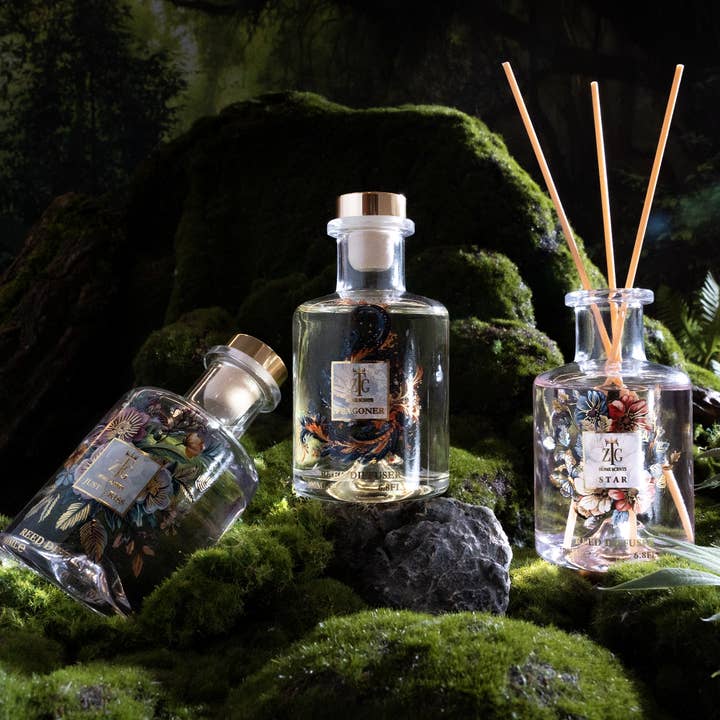 Diffuser FRAGRONER 200ML/6.8FL.OZ for wholesale by TZG fragrance