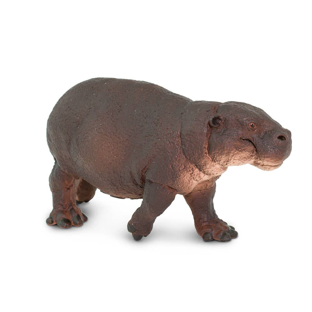 Safari Ltd. - Wholesale Figurine Toy - Kids - Pygmy Hippo - 2292291
