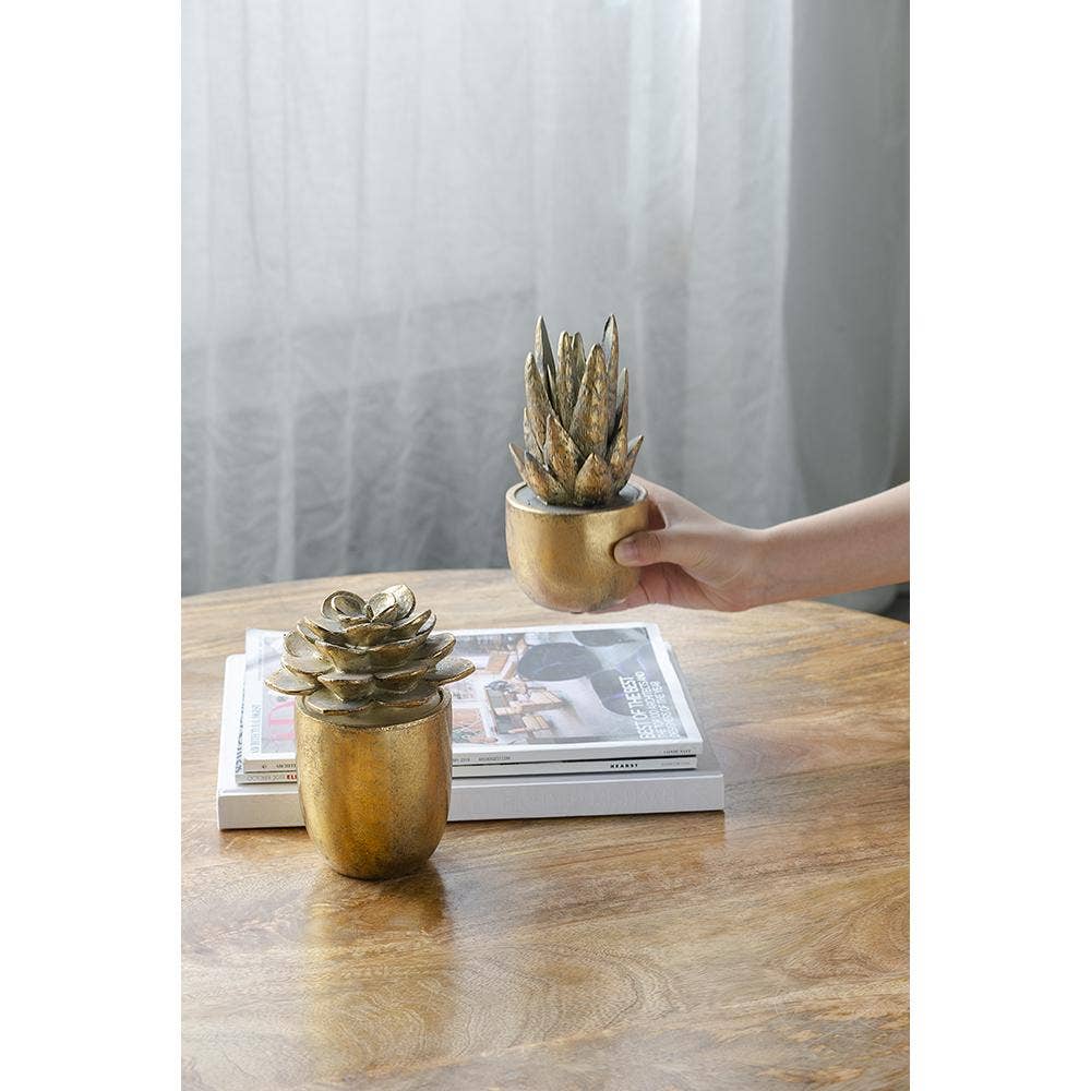 A&B Home Group Inc. - Wholesale Decorative Tabletop Object - D3.5x7" Golden Succulent Resin Planter3