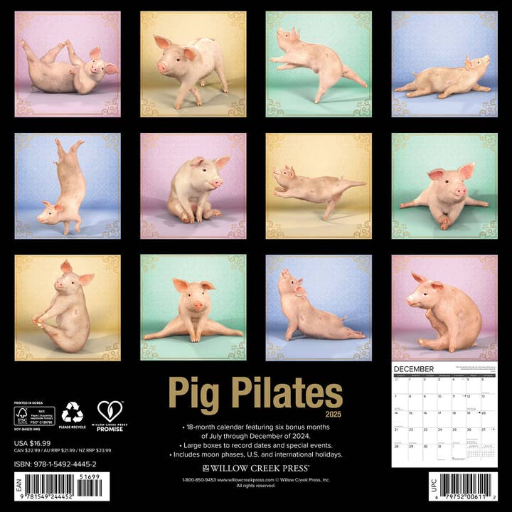 Willow Creek Press & Gifts - Wholesale Calendar - Pig Pilates 2025 Wall Calendar
