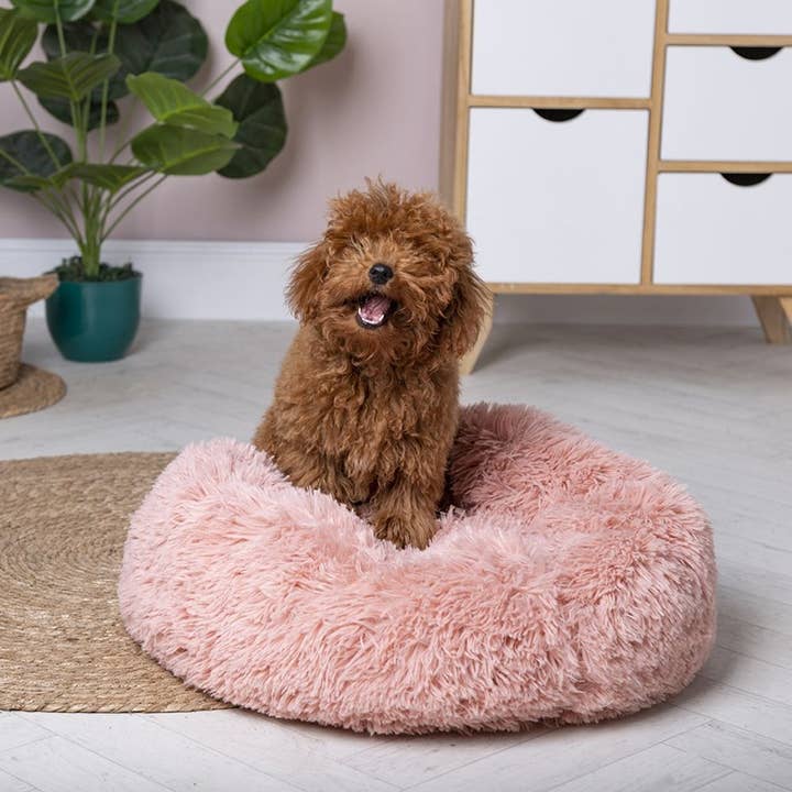 DUPPIDU CAMA SHAGGY Ø60x20 700 g 4 assortidos, cores claras por atacado de VdE Tivoli 1996