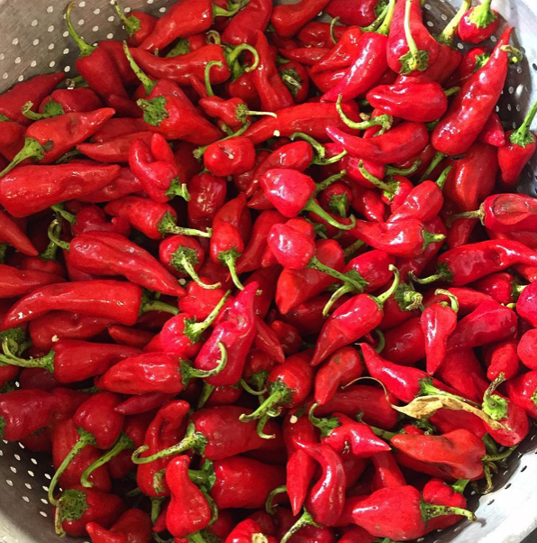 Josephine's Feast - Wholesale Jam/Jelly - Red Hot Pepper Jam5