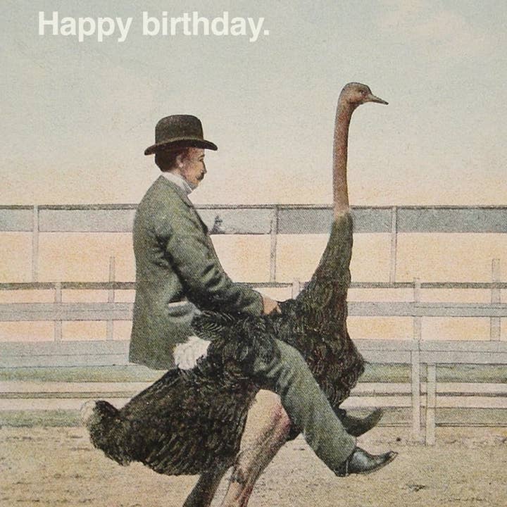 Pictrix Design - Vente Cartes d'anniversaire - "Ferme les yeux et fais un vœu" (autruche) Carte d'anniversaire A6