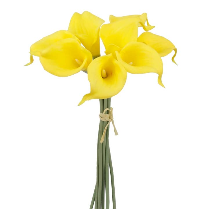 Angel Isabella - Vendita all'ingrosso Fiori finti - Calla Real Touch arancione tramonto, con steli da 35,6 cm e 25,4 cm0