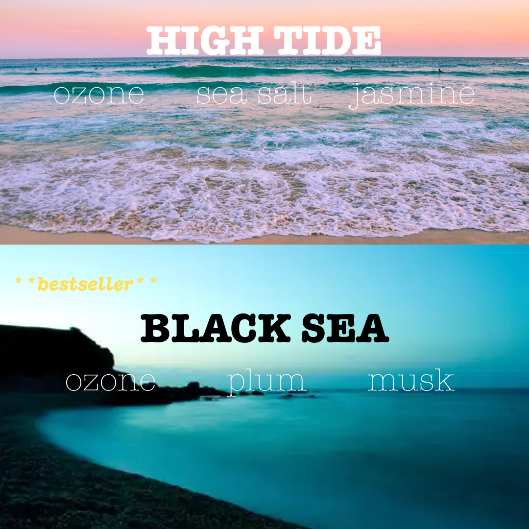 Martini Candle Co. - Vente Bougies originales - Bougie Coquille d'Huître Parfumée Originale Fait Main en Cire d'Abeille et Soja4