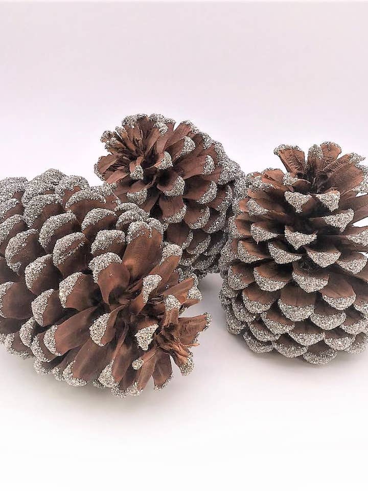 Pinecones - Silver for wholesale by Sherri's Designs