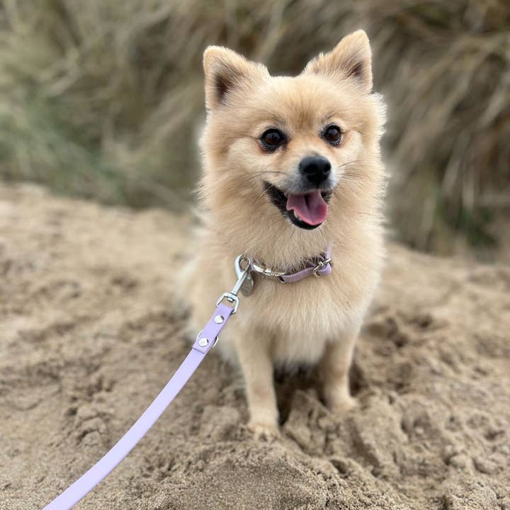 Splash By Happy - Wholesale Pet Collar - Dog - Biothane® clip necklace30