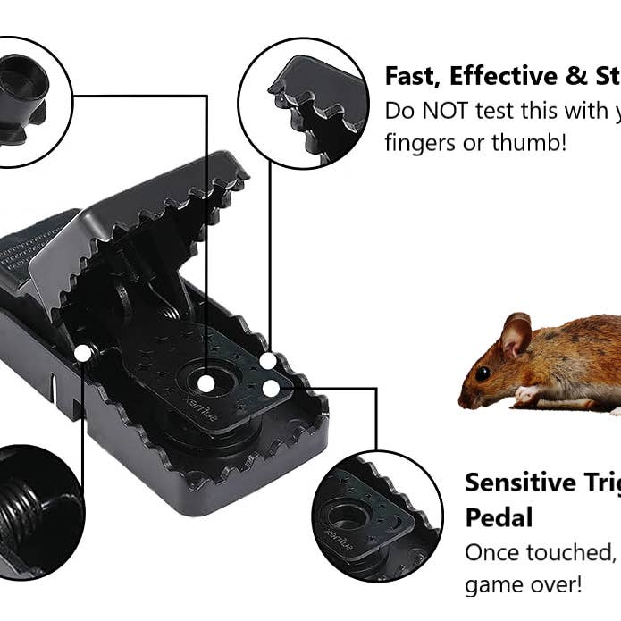 Generise Mouse Trap - 6 Pack for wholesale by My Wholesale Warehouse