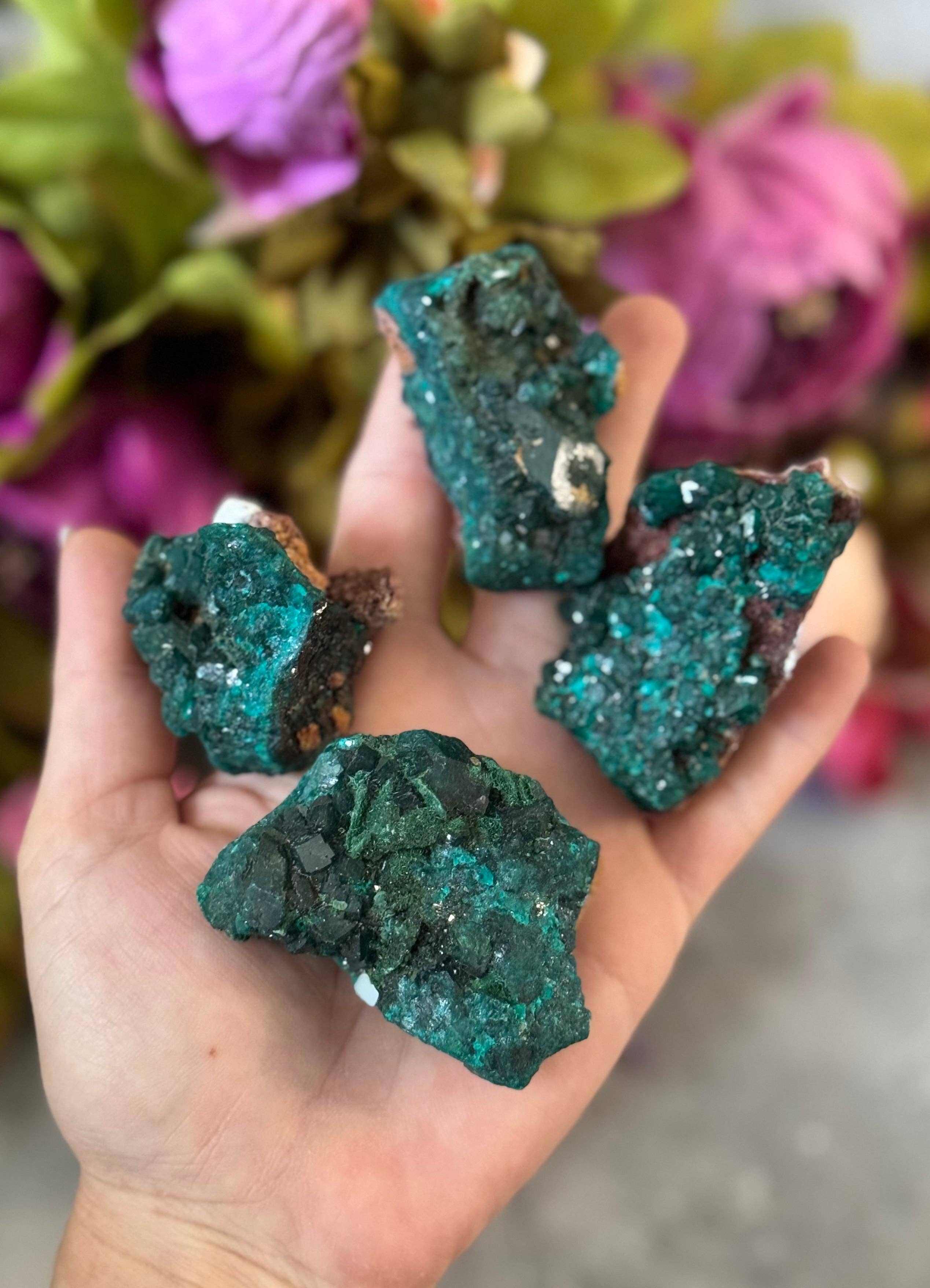 Mandala Gems - Vendita all'ingrosso Pietra/cristallo spirituale - Campioni di Cristallo di Dioptasio Grezzo, Minerale di Dioptasio Verde5