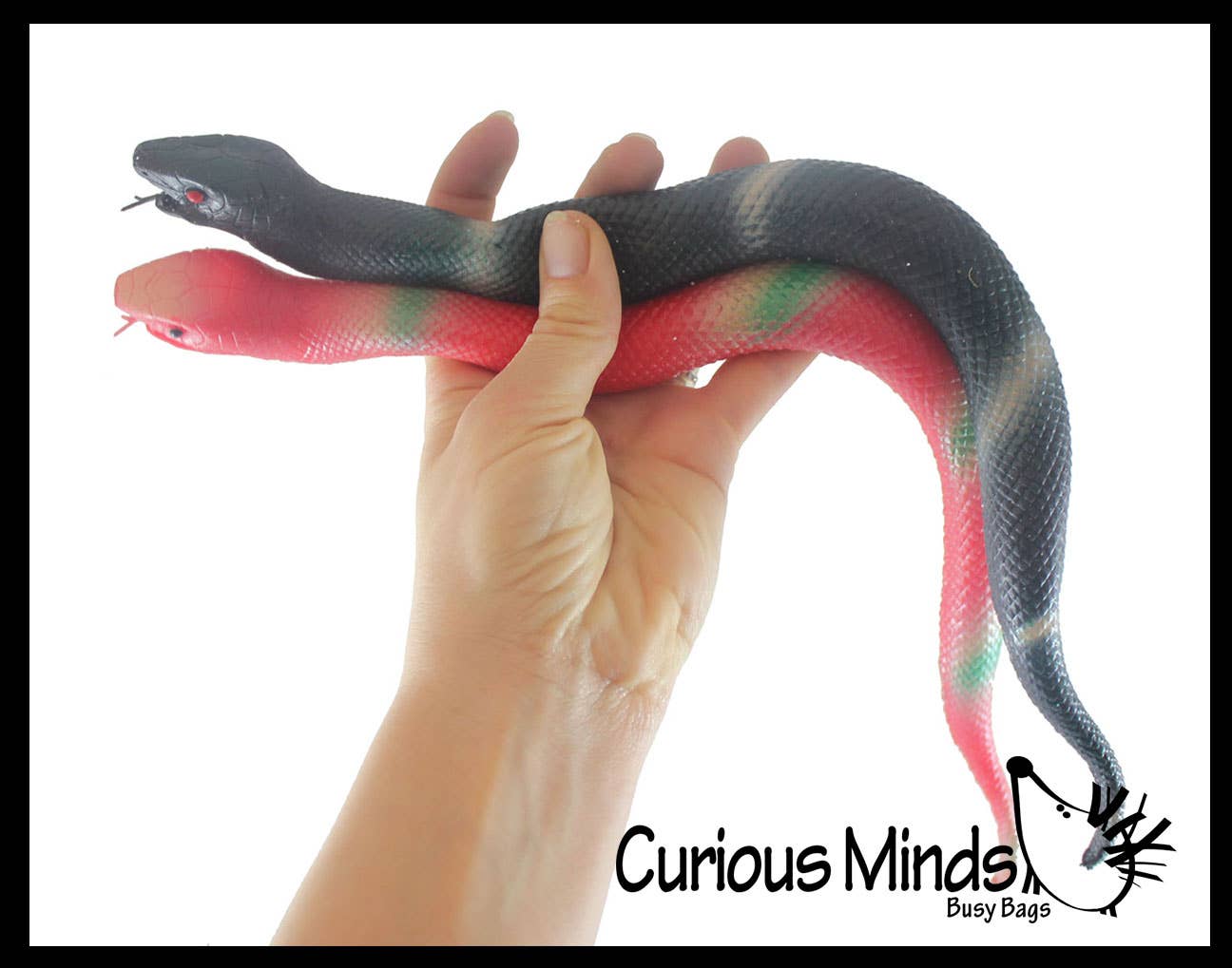 Curious Minds Toys - Wholesale Fidget Toy - Kids - 1- 15.5" Stretchy Snakes  Crushed Bead Filled- Reptile4