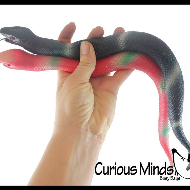 Curious Minds Toys - Wholesale Fidget Toy - Kids - 1- 15.5" Stretchy Snakes Crushed Bead Filled- Reptile4