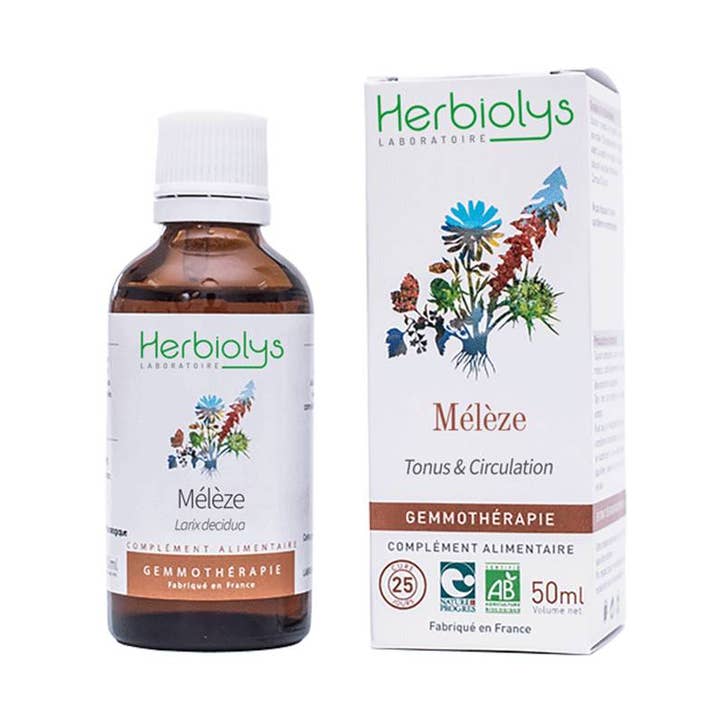 Larch Gemmotherapy for wholesale by Herbiolys