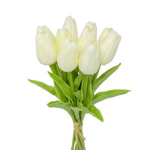 Risultati per tulipani all'ingrosso. Resi gratuiti e termini di pagamento a  60 giorni su Faire