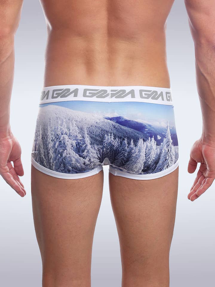 Whistler Trunks för wholesale av GARCON® Underwear