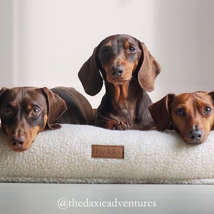 Pup & Kit - Wholesale Pet Bed - Dog - PupPillow Fleece Dog Bed - Natural9