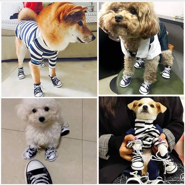 BLUE All-Season Canvas Dog Shoes – Casual & Durable_CWMM7256 for wholesale on Faire2