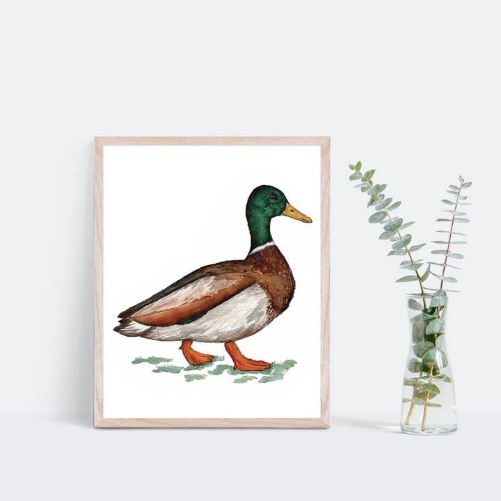 Green Artist Designs - Wholesale Art Print - Mallard Duck Art Print1
