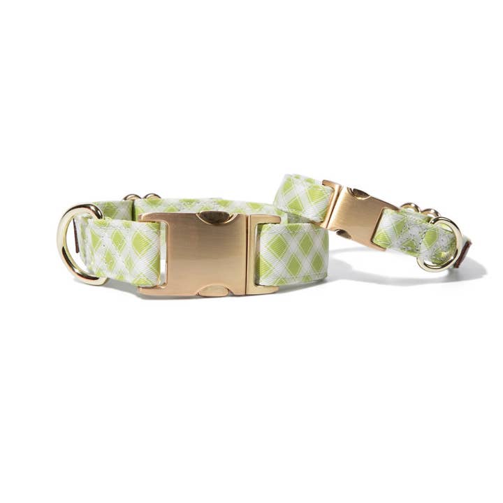Coleira para Cão Bryce – Xadrez Verde Gingham, Fivela de Metal por atacado de Pink Papyrus | Premium, Durable, & Stylish Dog Products