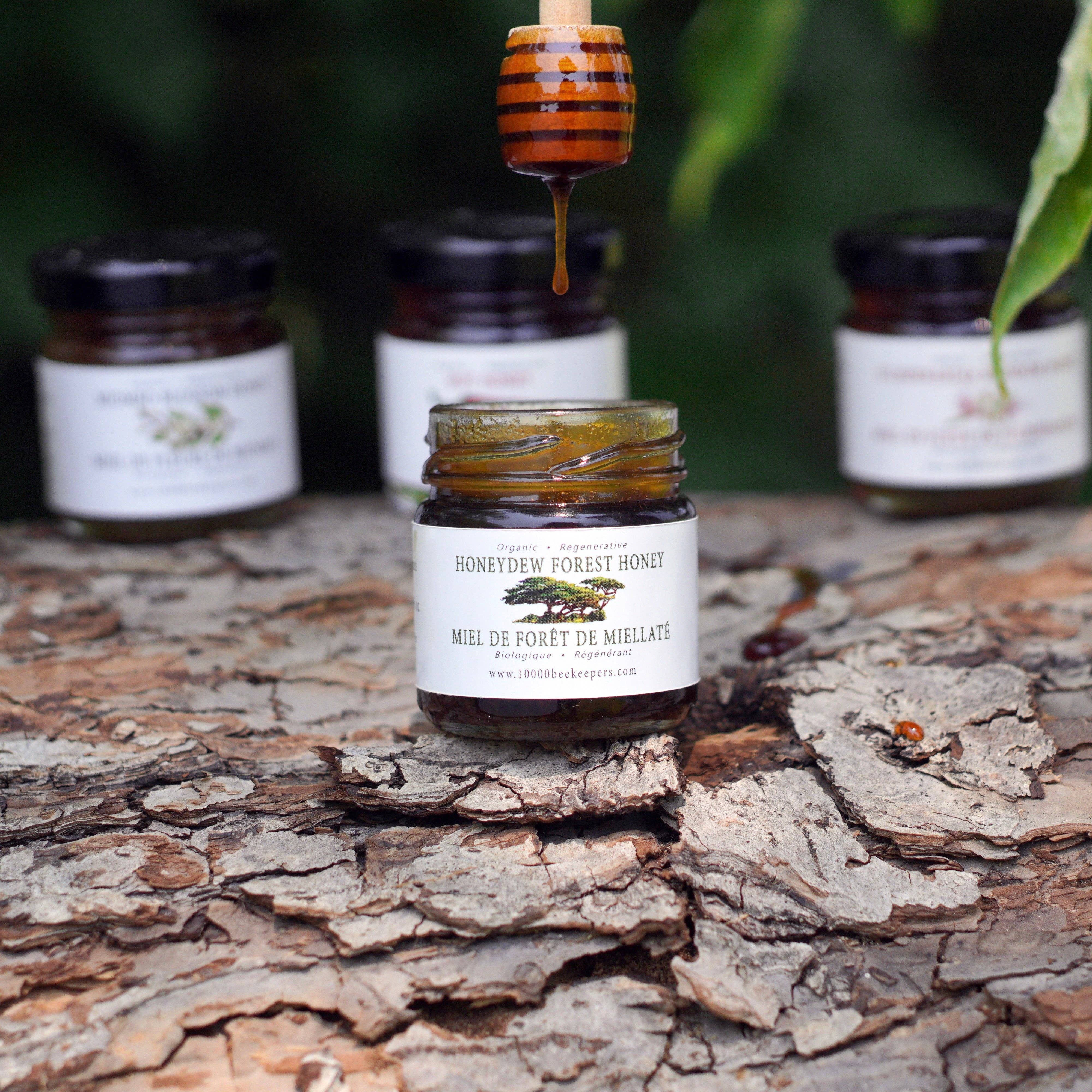 African Bronze Honey Company - Wholesale Honey - Mini Organic Honeydew Forest Honey1