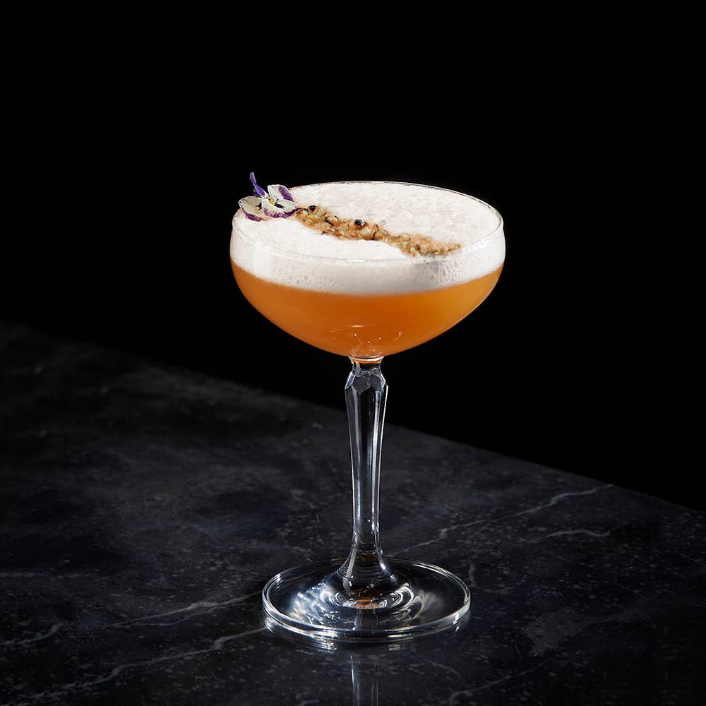 CUISIVIN - Wholesale Cocktail/Liquor Glass - Coupe Gift Set 215ml/7.25oz - 4pk (cost per glass)3