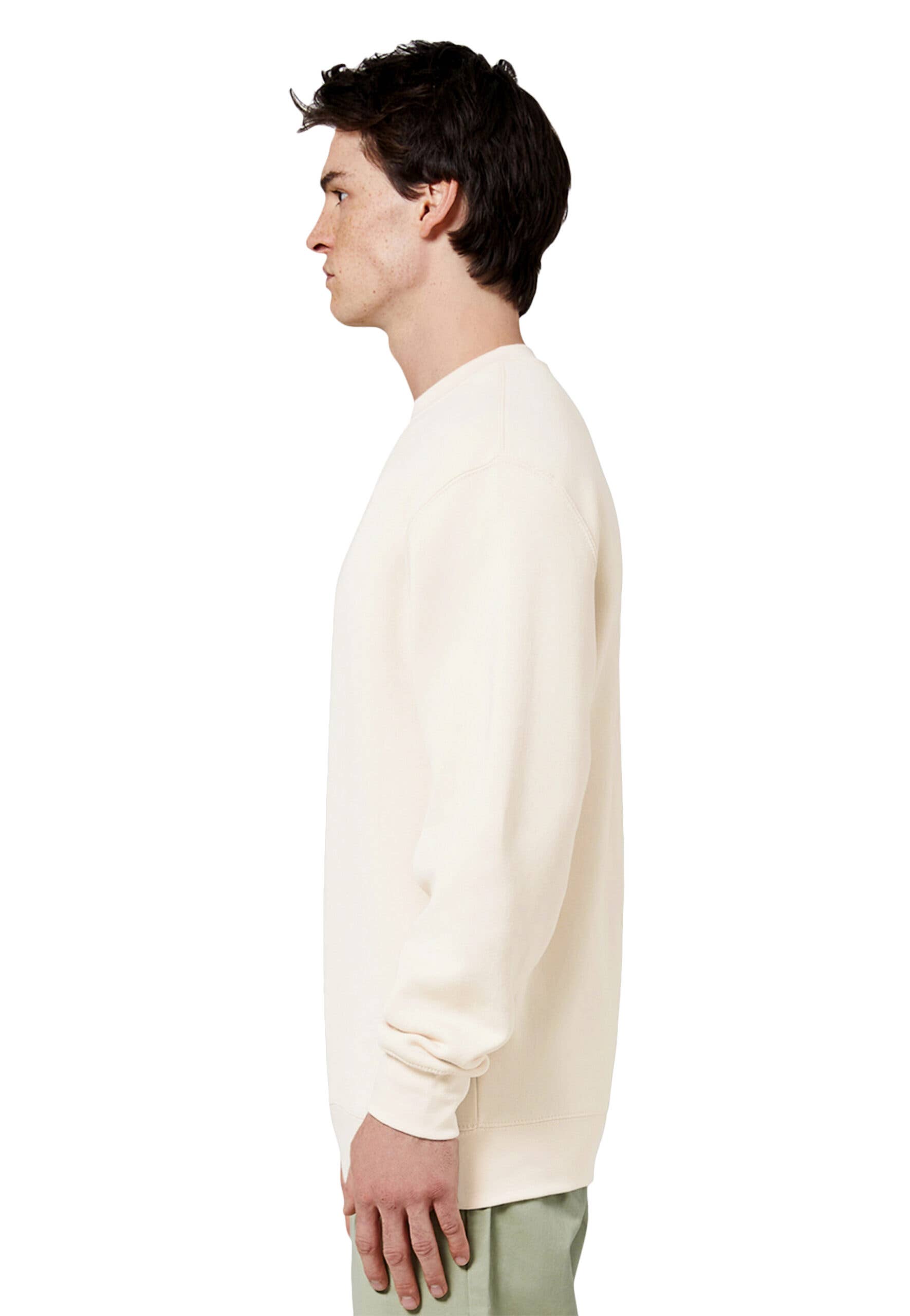 Lane Seven Apparel - Wholesale Sweatshirt - Unisex - Premium Crewneck Sweatshirt - For Men & Women117