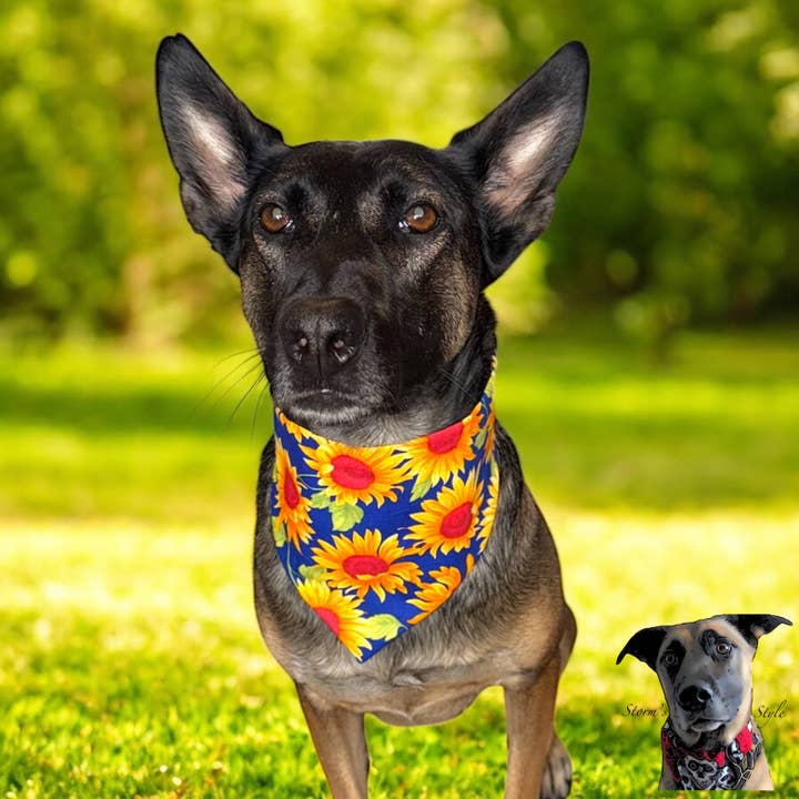 Sunflower Pet Bandana - Dog Cat for wholesale by Storms Style