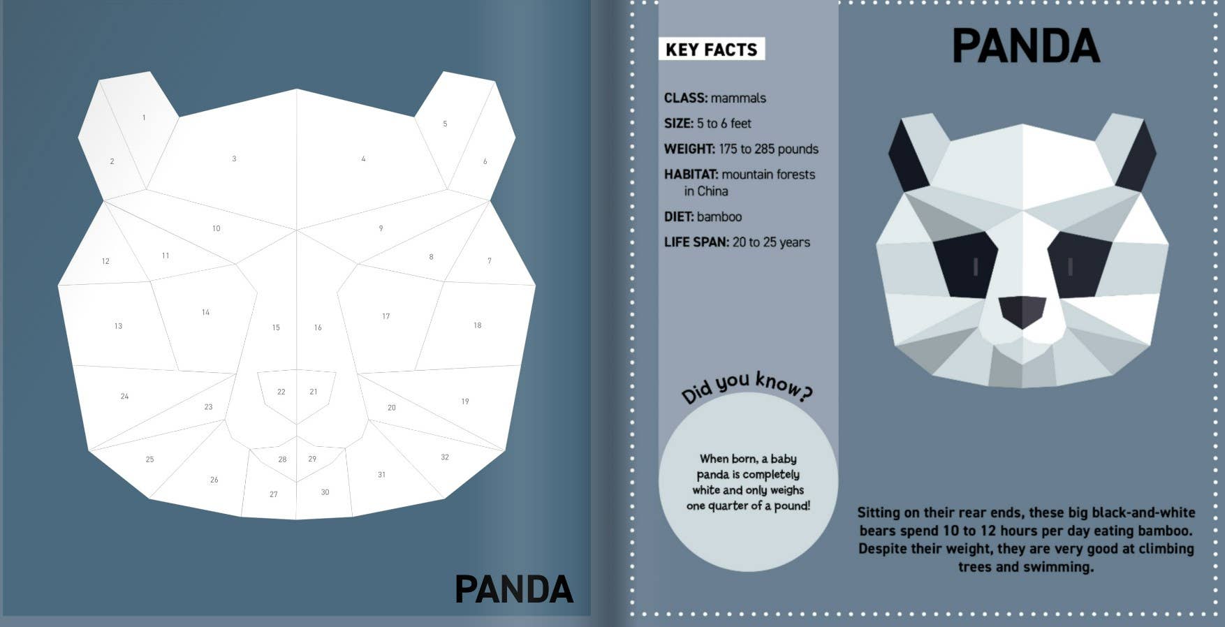 Wellspring - Wholesale Coloring & Activity Book - Kids & Baby - Activity Book - My Sticker Paintings: Animals of the World2