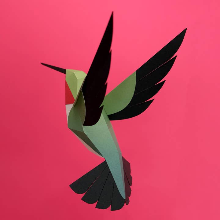 PLEGO - Wholesale DIY Craft Kit - SELASPHORUS PLATYCERCUS - paper bird6