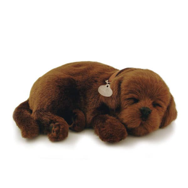 88Unlimited/Perfect Petzzz - Wholesale Stuffed/Plush Toy - Kids & Baby - 06Original - Chocolate Lab
