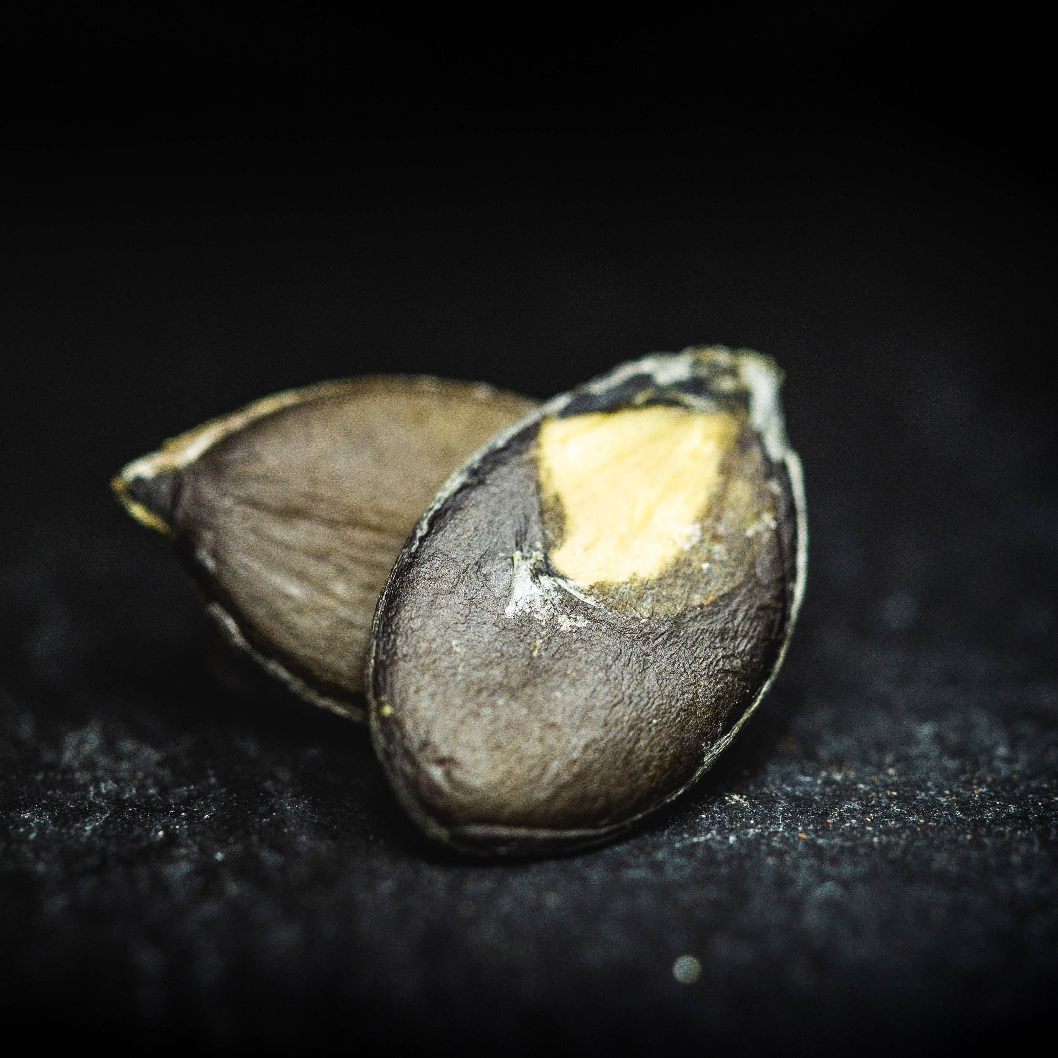 2DiE4 Live Foods - Wholesale Nuts - Aktivierte Bio Kürbiskerne3