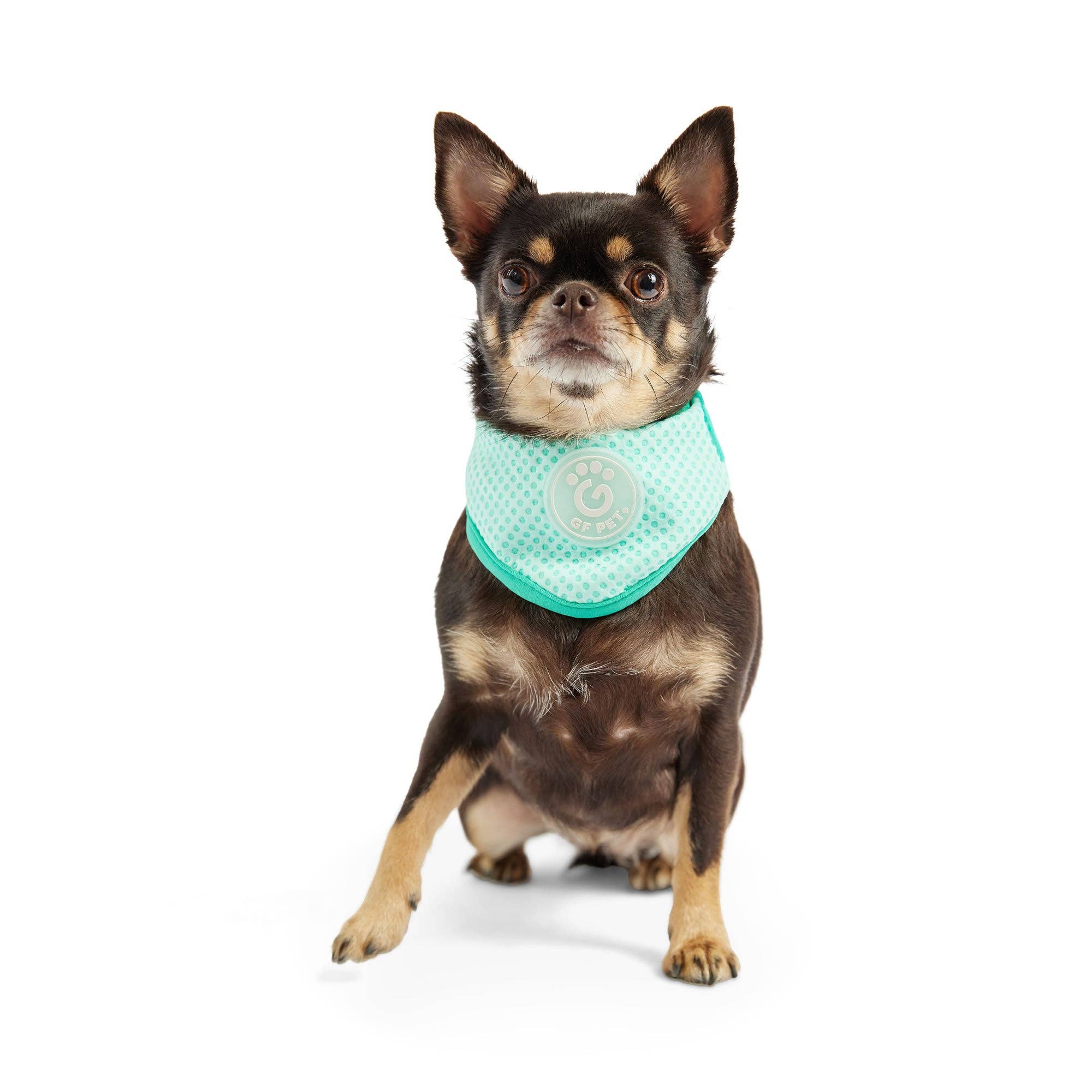 GF Pet - Wholesale Pet Bandana - Dog - ICE BAND - Dog Cooling Bandana - Aqua3